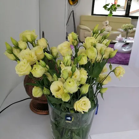 Ferienwohnung Bad Konig