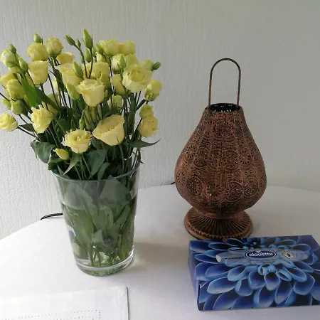 Ferienwohnung Apartment