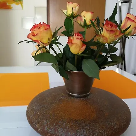 Ferienwohnung Apartment
